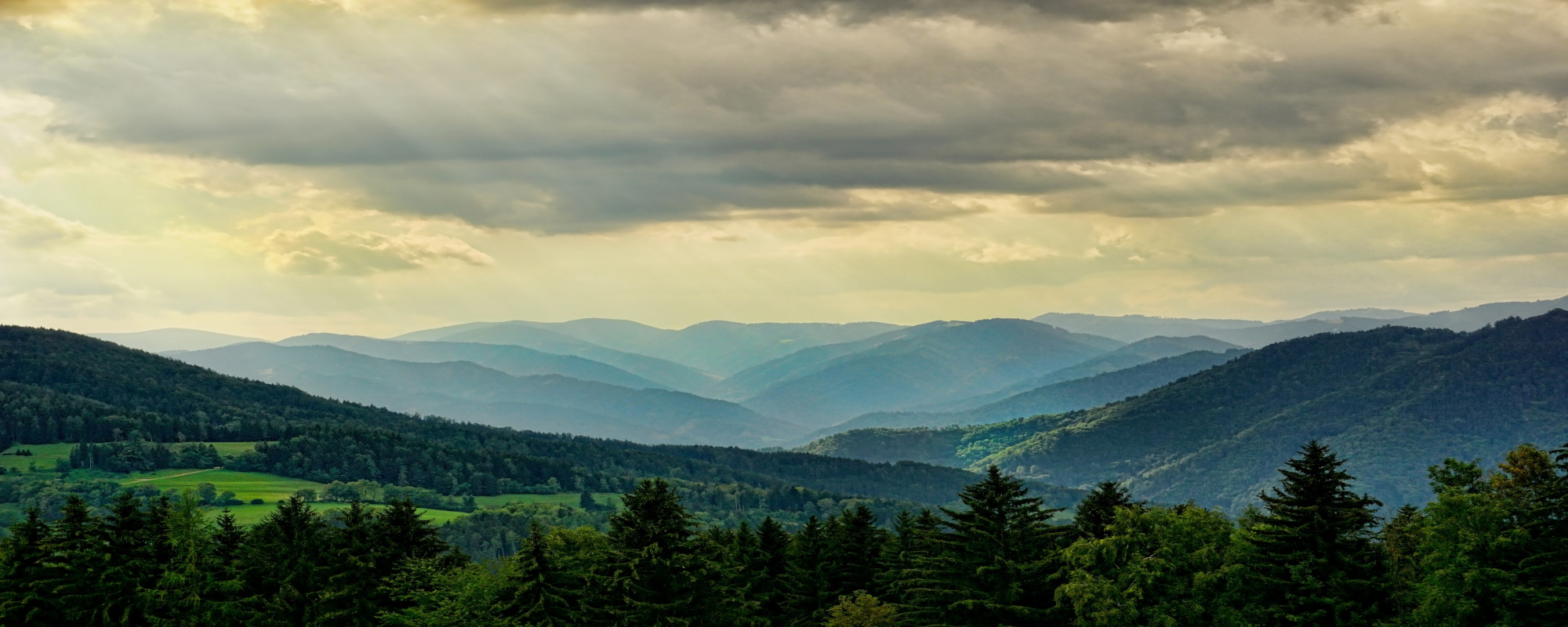 Panoramablick auf grüne Landschaft mit Hügeln und Tälern bei bewölktem Himmel