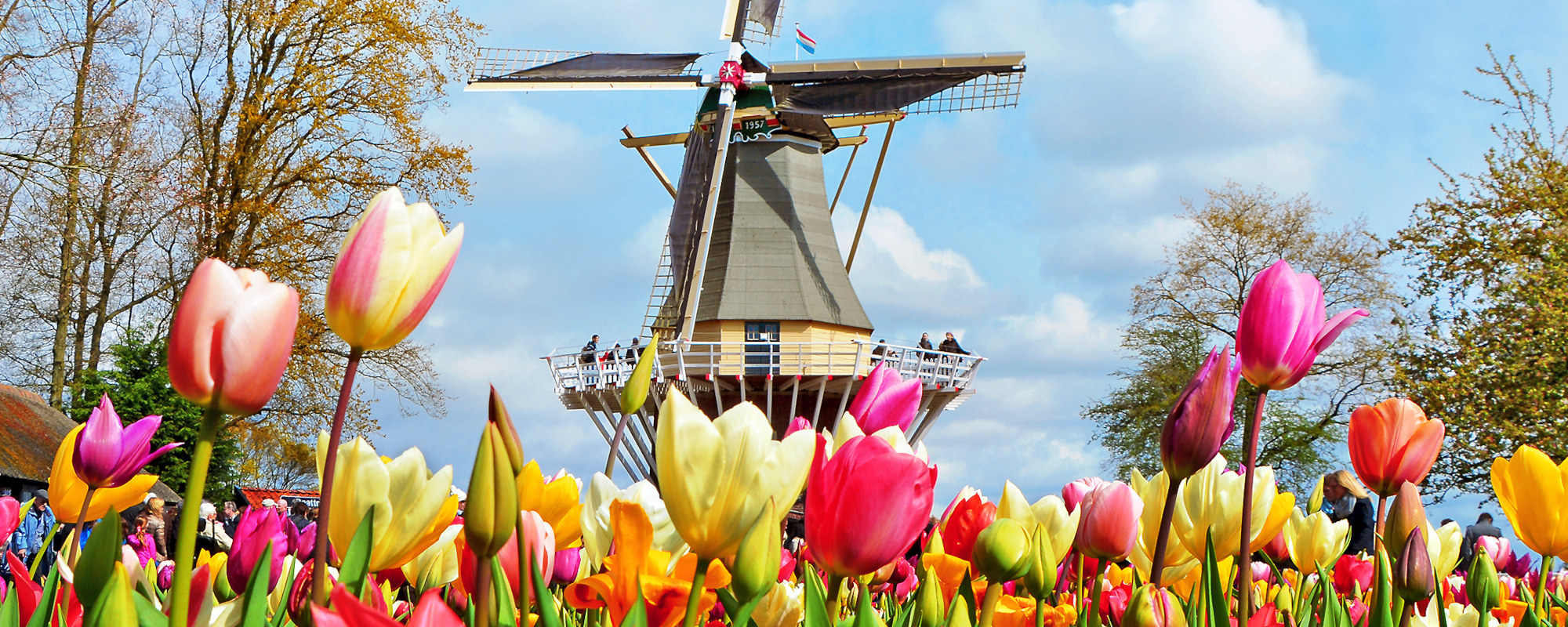Niederlande - Windmühlen und Tulpen
