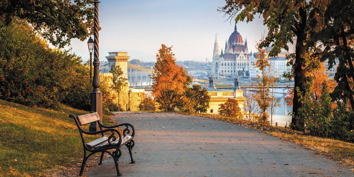Ausblick auf Fußweg mit Parkbank und Stadt im Hintergrund. Natur in herbstlichen Farben
