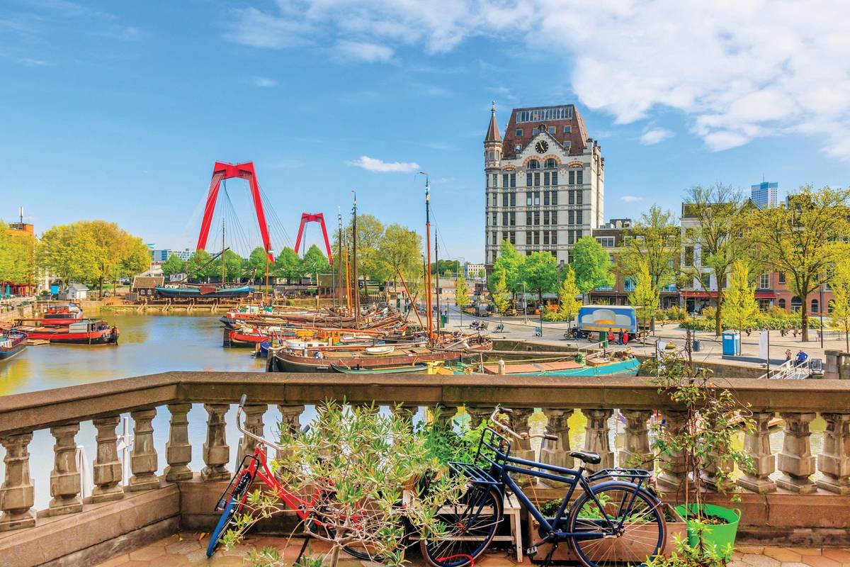 Zwei Fahrräder mit grünen Pflanzen vor Geländer. Alter Hafen von Rotterdam im Hintergrund