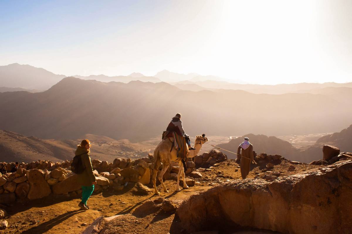 Panoramablick mit Kamel und Menschen in Ägypten bei Sonnenaufgang