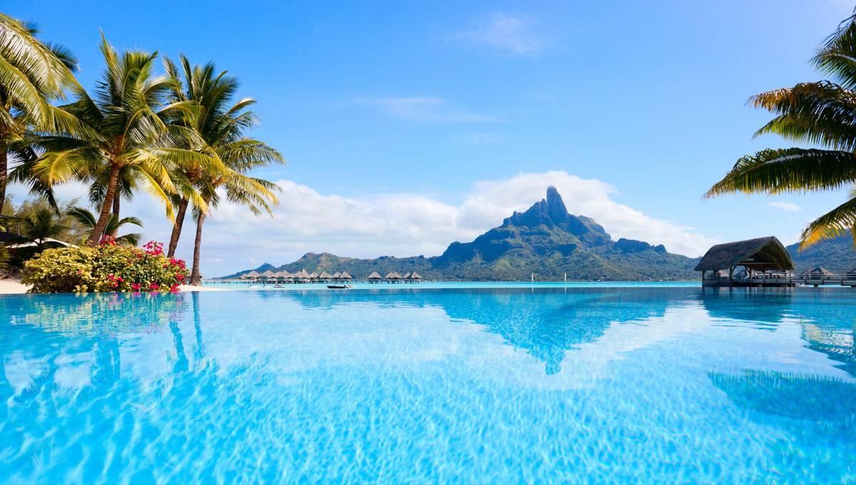 Panoramablick auf Palmen, klares blaues Wasser und einen Berg.