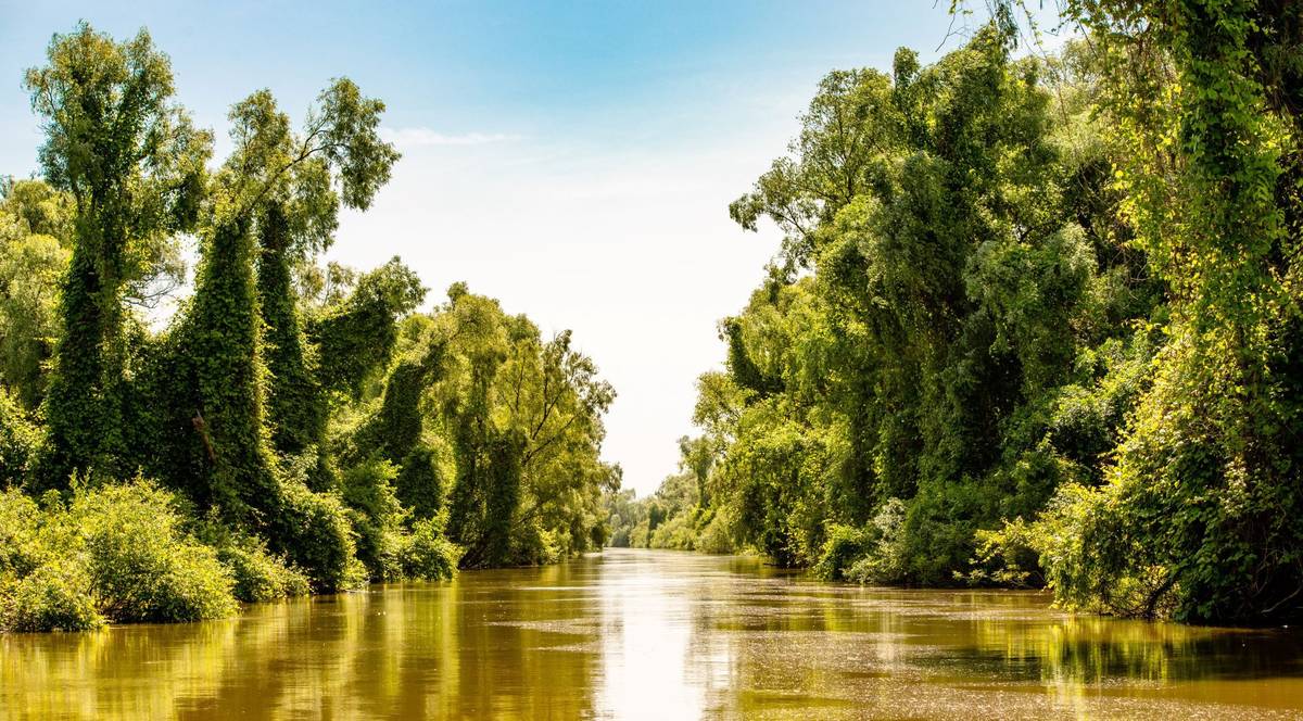 Flussenge mit Bäumen an jeder Seite