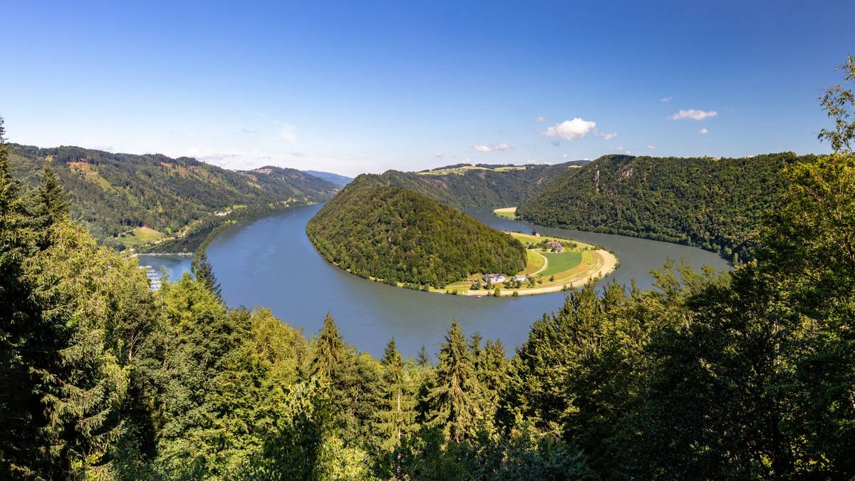 Idyllische Flusskurve in grüner Landschaft