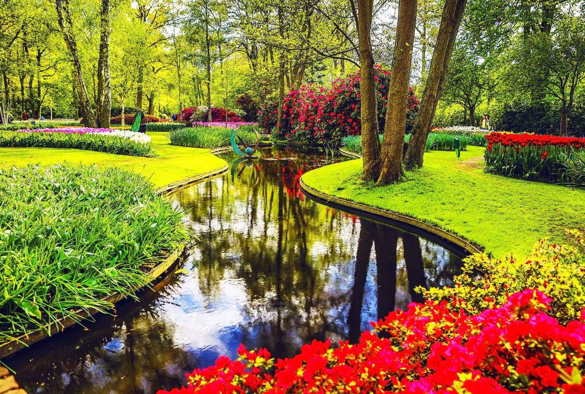 Sicht auf Bach im Grünen mit roten Blumen