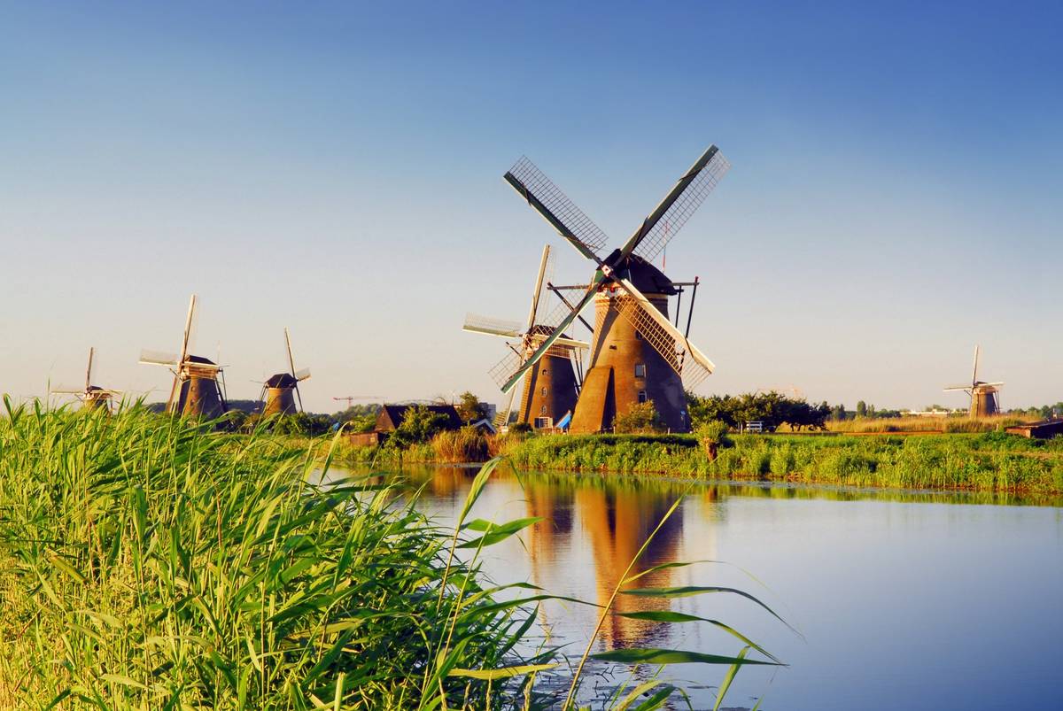 Mehrere Windmühlen am Wasser am niederländischen Kinderdijk mit Schilf bei Tagesanbruch