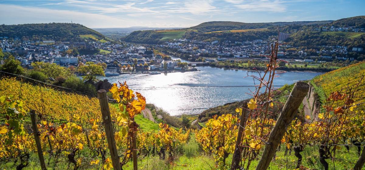 Panoramablick von Weinberg aus auf Stadt am Wasser bei Tag
