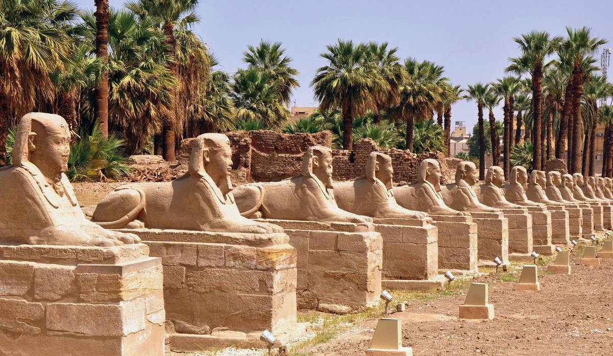 Ansicht der Sphinx-Allee in Luxor. Mehrere mittelgroße Sphinx-Statuen aufgereiht nebeneinander, gesetzt auf Sandsteinblöcke. Palmen im Hintergrund.