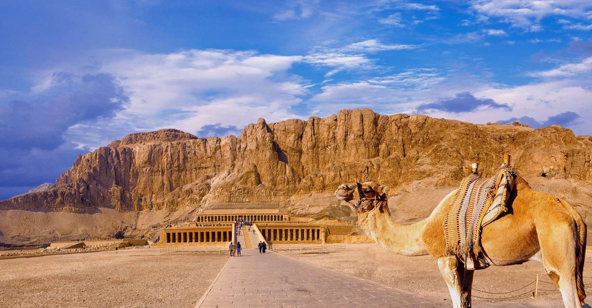 Hatschepsut-Tempel in Ägypten bei blauem Himmel mit vereinzelten Wolken. Ein gesatteltes Kamel steht im Vordergrund des Bildes.