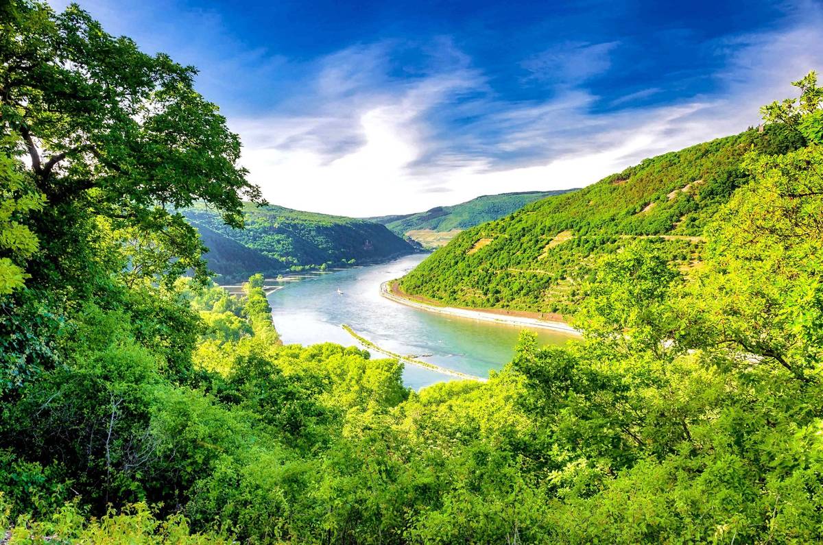 Panoramablick auf das Mittelrheintal