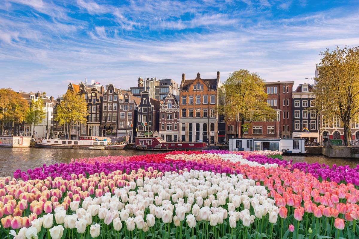 Ausblick auf Tulpen in Amsterdam am Flussufer mit Aussicht auf Gebäude am Tag