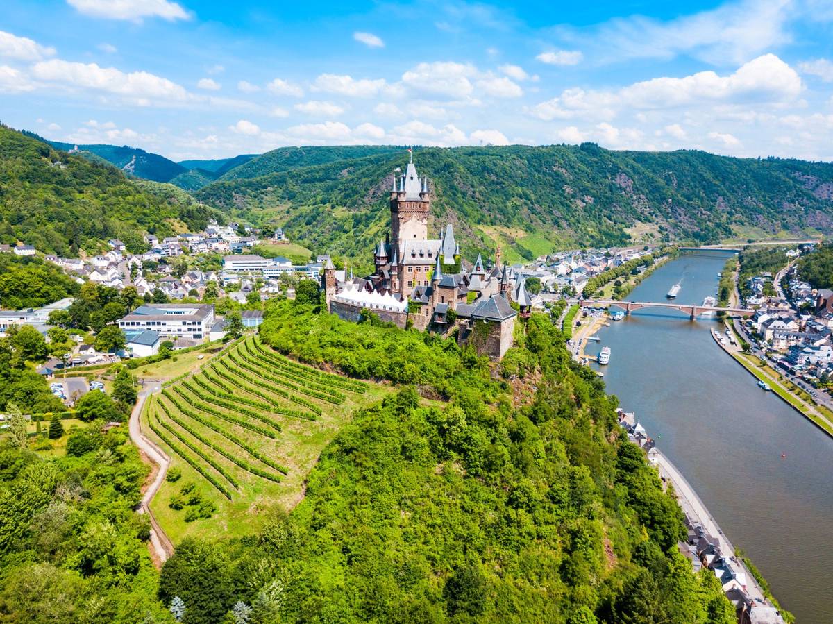 Panoramablick auf Cochem im Grünen mit terrassierten Weinhängen und der Reichsburg