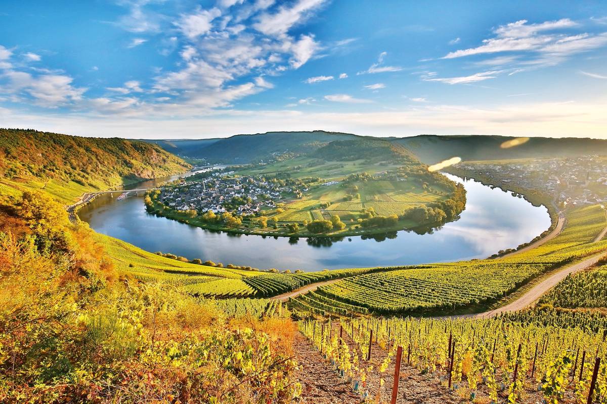 Panoramablick auf die Moselschleife