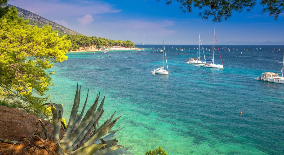 Ausblick von der Insel Brac aus auf fahrende Motorsegler in einer türkisblauen Bucht mit wachsender Natur