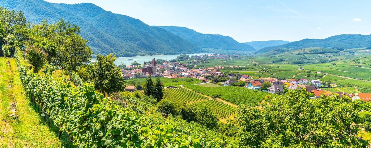 Blick auf Weissenkirchen an der Wachau