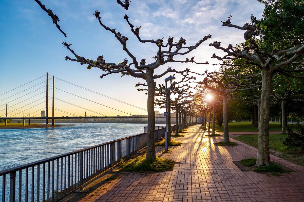 Flusspromenade in Düsseldorf bei Sonnenuntergang