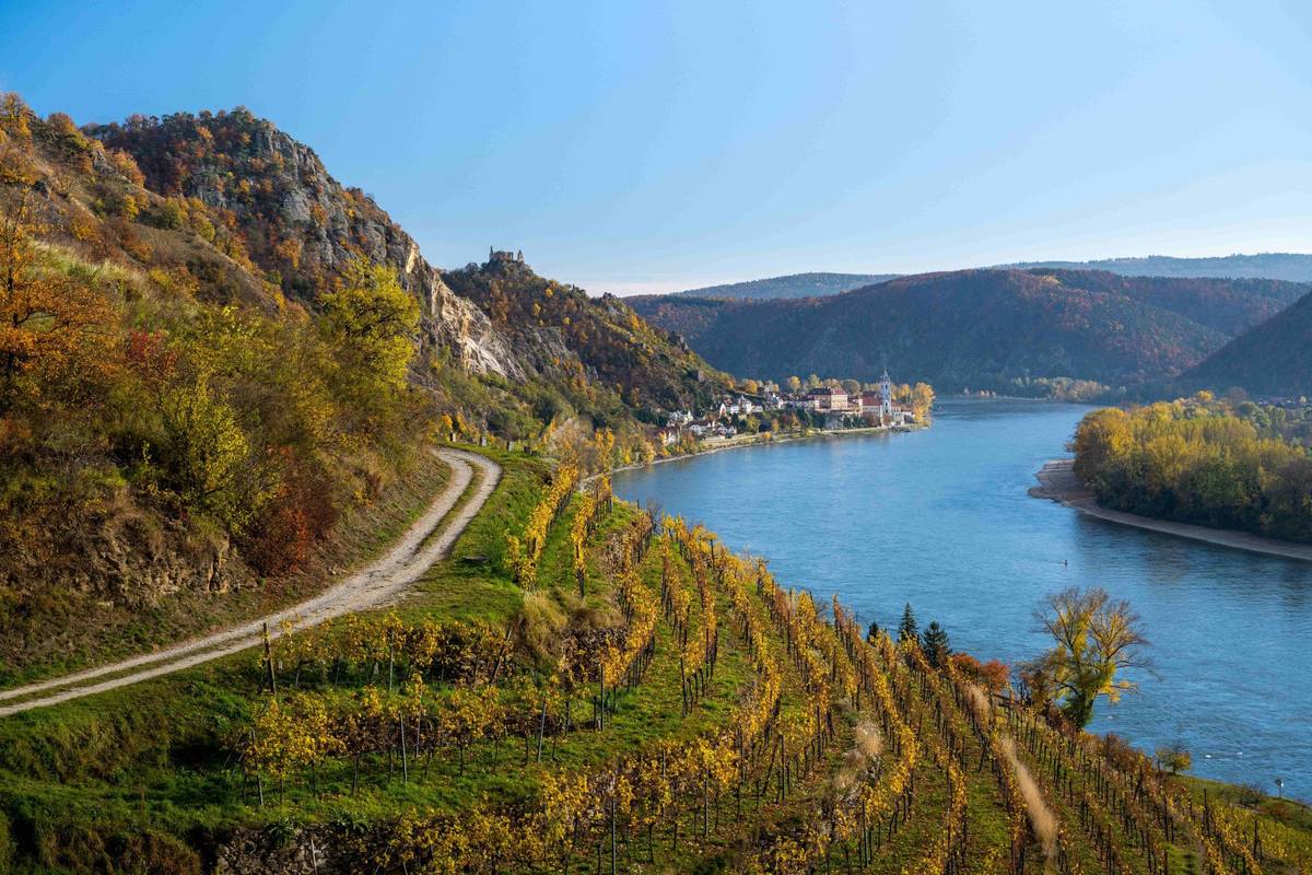 Panorama der Wachau in Niederösterreich mit terrassierten Weinbergen, der Donau und dem historischen Ort Dürnstein bei Tag