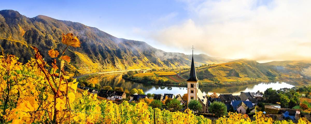 Aufnahme der Mosellandschaft im goldenen Herbst bei Cochem