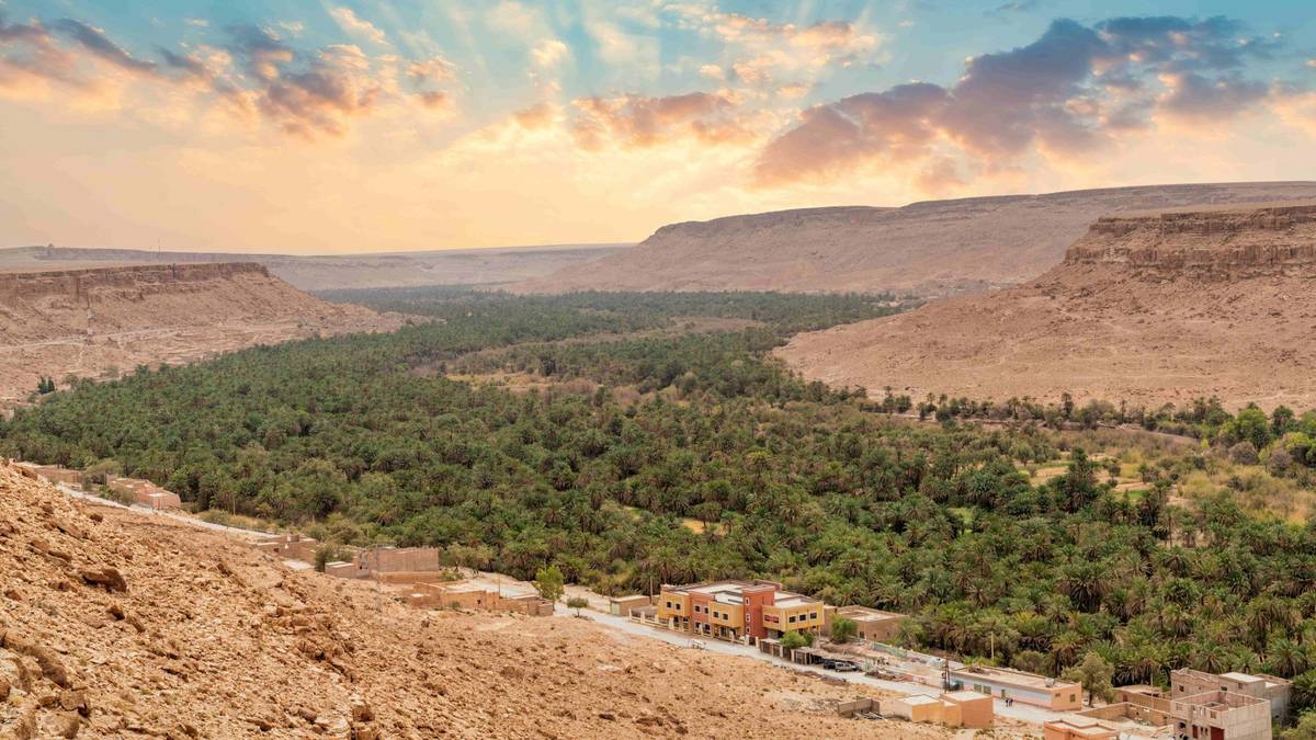 Luftaufnahme der Tafilalet Oase Nähe der marokkanischen Stadt Erfoud bei Sonnenaufgang mit goldgelbem Horizont