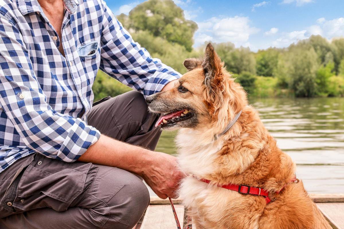 Ein Herr mit seinem Hund an der Donau