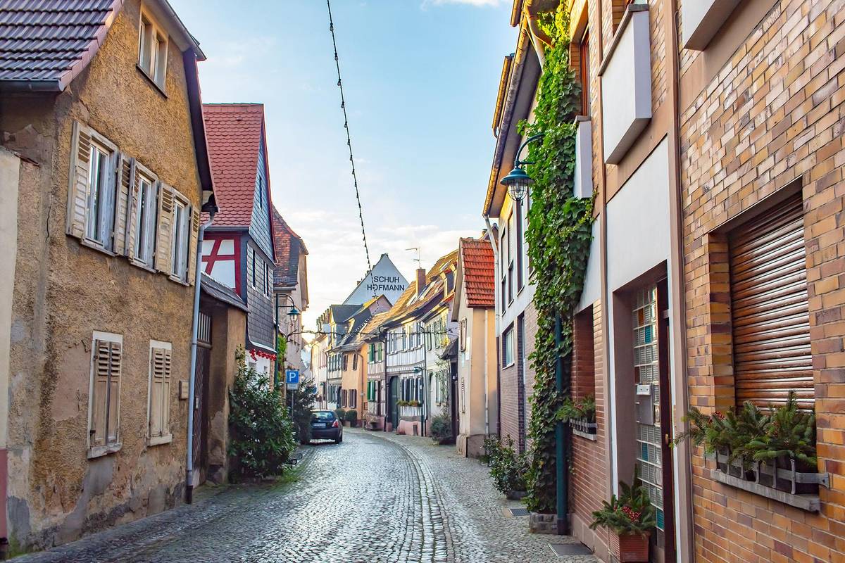 Winterliche Gasse im historischen Rüdesheim. Die Fassaden sind mit Tannenzweigen und Tannenbäumen festlich verziert
