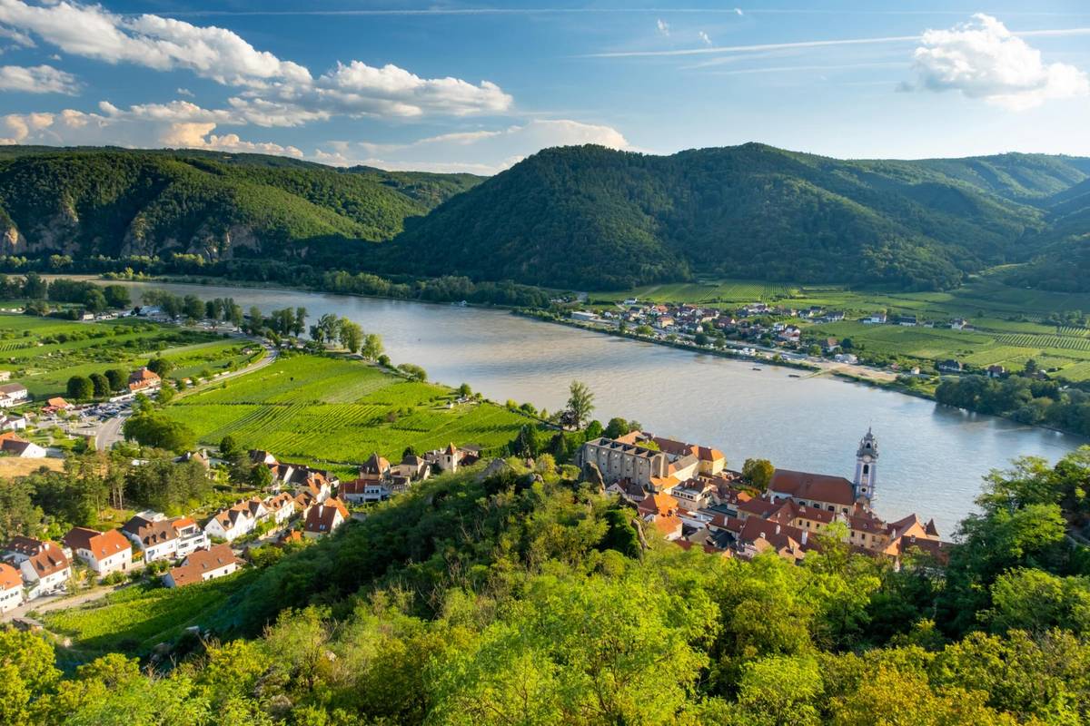 Dürnstein in der Wachau mit dem blauen Kirchturm des Stifts Dürnstein und den Weinbergen entlang der Donau bei Tag