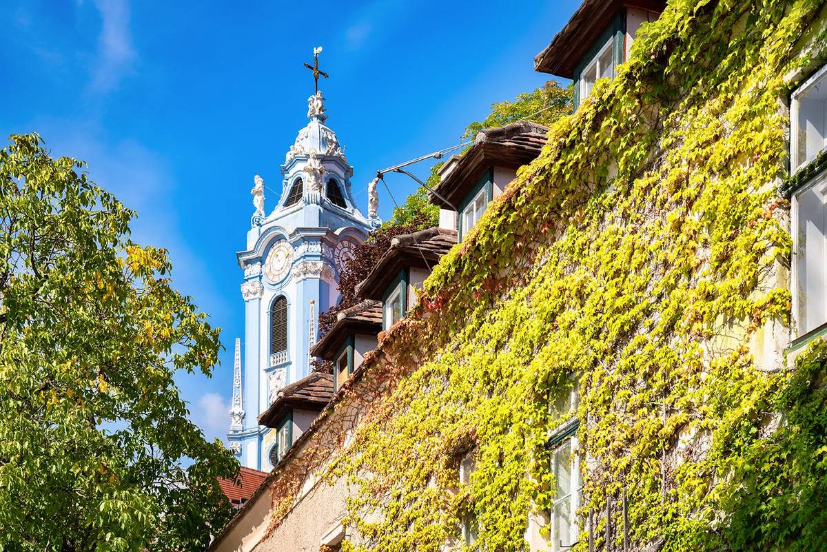 Verträume Fassade mit Weinreben und rausragendem barockem Kirchturm im Winzerörtchen Dürnstein in der Wachau