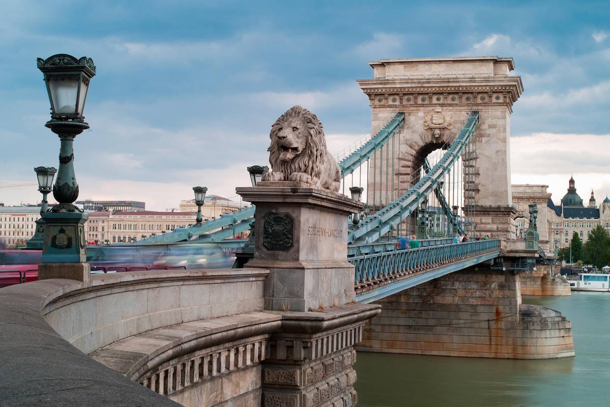 Löwenstatue der berühmte Kettenbrücke in Budapest an der Donau mit dem Parlament im Hintergrund.