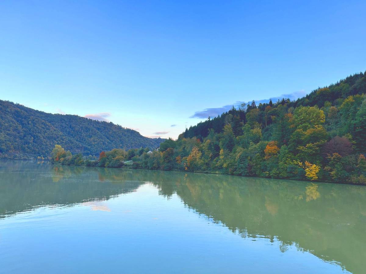 Malerische Donaulandschaft im goldenen Herbst. Die Sonne strahlt, die Temperaturen werden milder und die Blätter der Bäume an der Donau werden färben sich in warmen orange und gelbtönen.