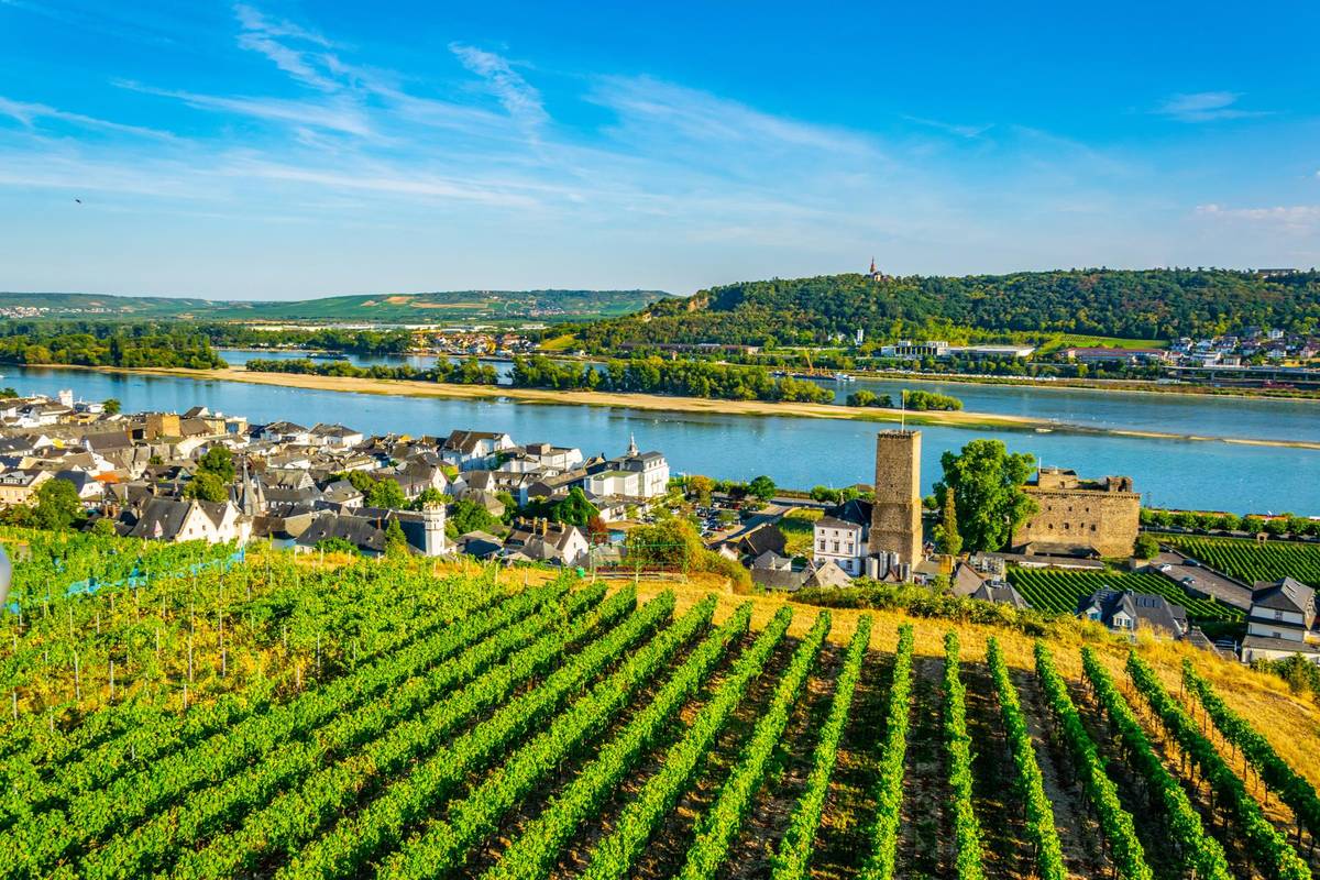 Panoramaausblick auf das Stadtbild der Winzerstadt Rüdesheim am Rhein.