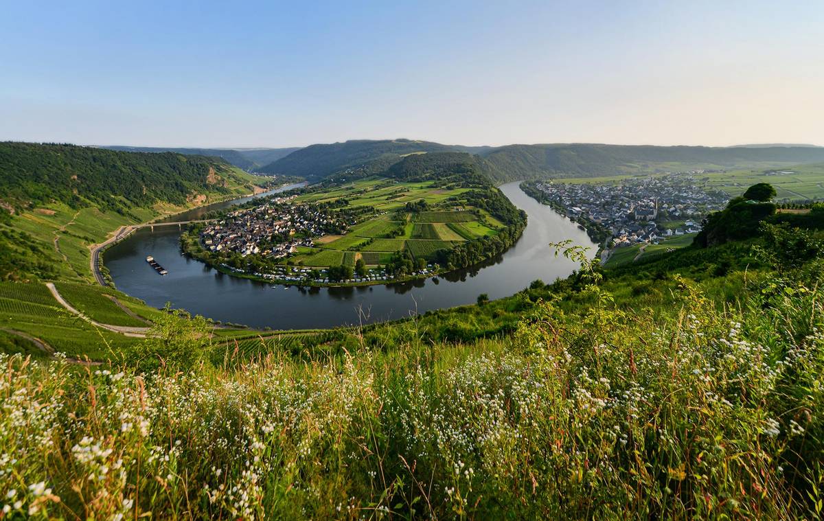Panoramablick auf die Moselschleife bei traumhaft schönem Wetter