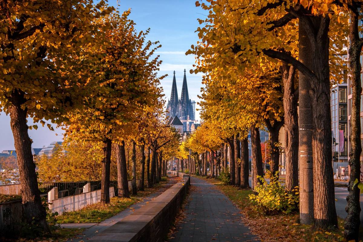 Rheinpromenade in Köln im Herbst mit buntem Laub und im Hintergrund Kölner Domgotischer Fassade, ikonisches Wahrzeichen Kölns
