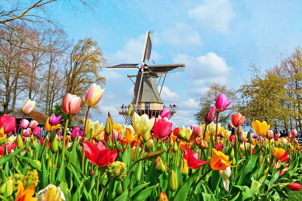Schnupperreise Holland 2025 – Flusskreuzfahrt Rhein