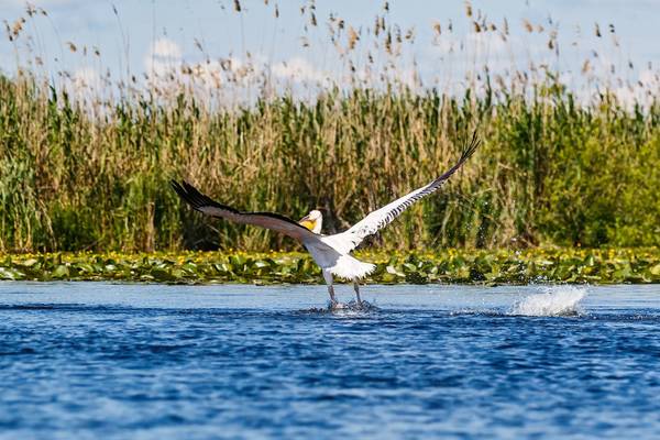Große Donauvielfalt 2025 – Flusskreuzfahrt Donau