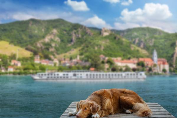 Donauzauber mit Hund 2026 - Flusskreuzfahrt
